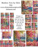 Rainbow Fern