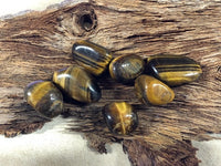 Golden Tiger's Eye - Tumbled