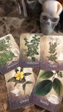 Magickal Herb Oracle Cards