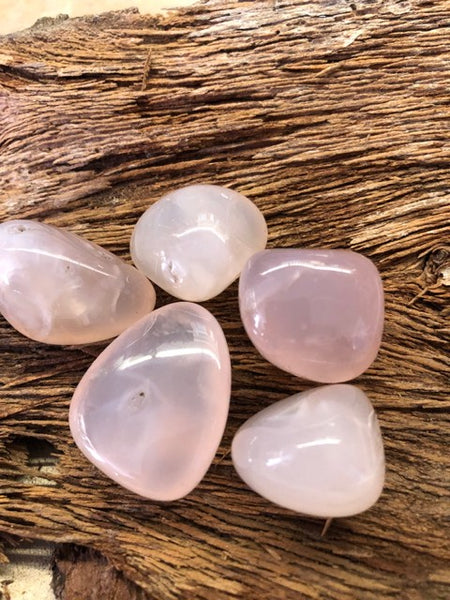 Pink Chalcedony - Tumbled